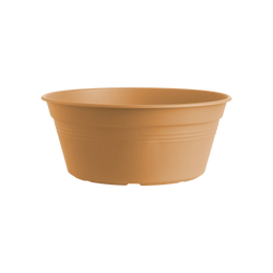 Green Basics Bowl Mild Terra