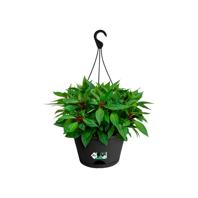 Green Basics Hanging Basket 28cm Living Black - Image 3