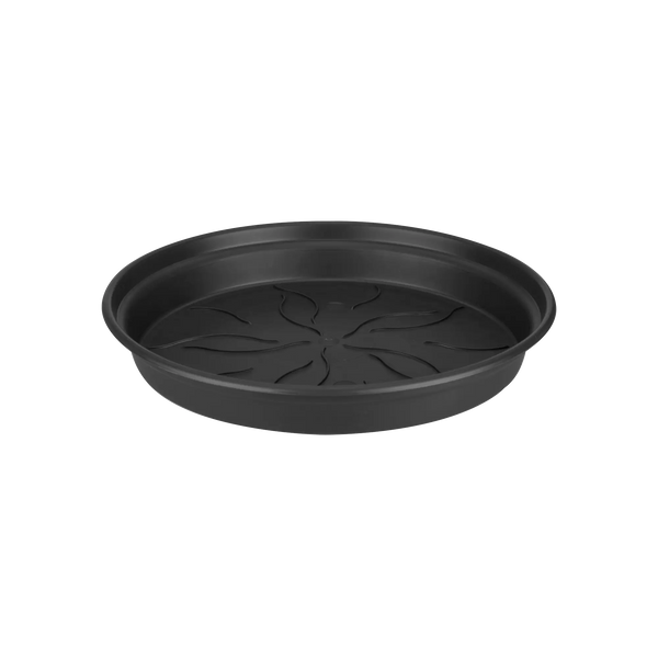 Green Basics Saucer Living Black