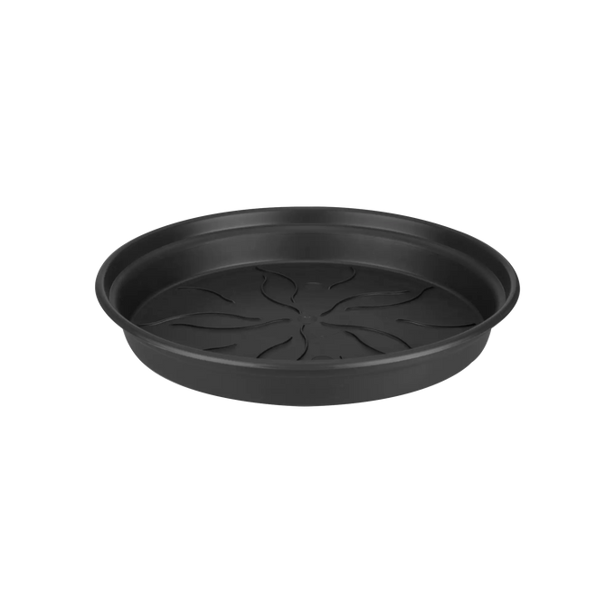 Green Basics Saucer Living Black - Image 1