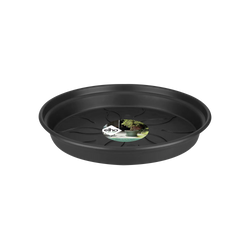 Green Basics Saucer Living Black