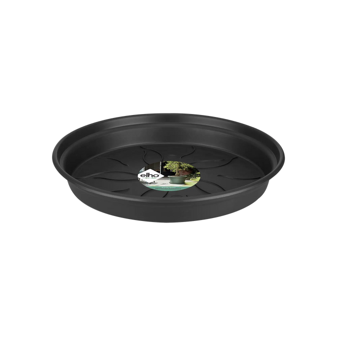 Green Basics Saucer Living Black - Image 2