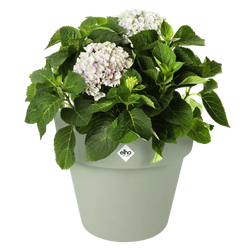 Green Basics Top Planter 47cm in Stone Green – durable, stylish garden pot | Keans Claremorris