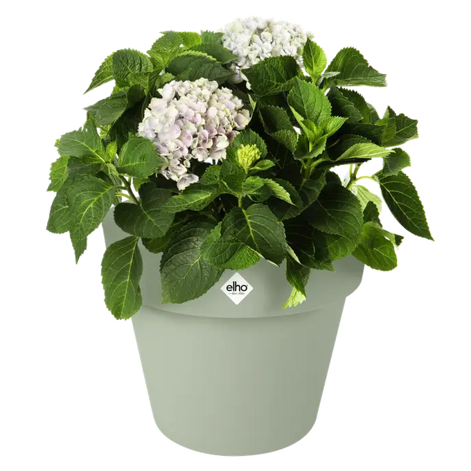 Green Basics Top Planter 47cm in Stone Green – durable, stylish garden pot | Keans Claremorris