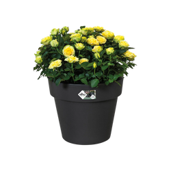 Green Basics Top Planter Living Black