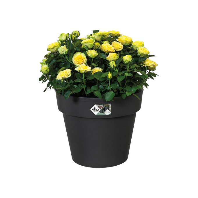 Green Basics Top Planter Living Black - Image 3