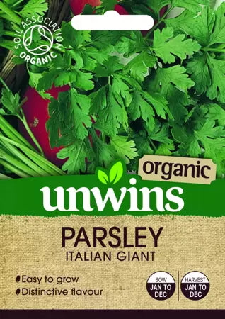 Herb Parsley Italian Giant (Organic) - Image 1