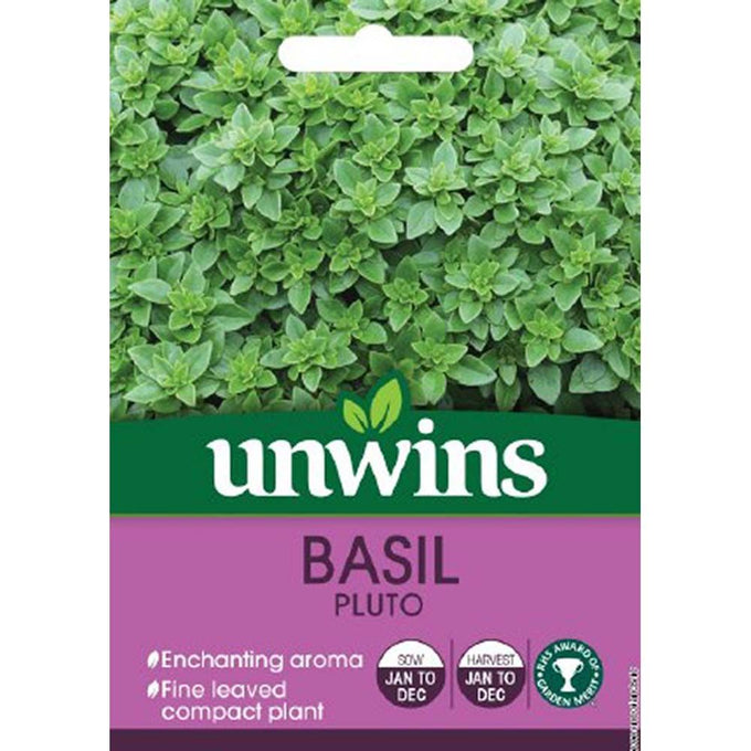 Herb Basil Pluto - Image 1