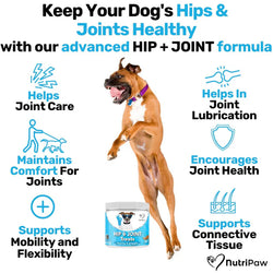 Nutri Paw Hip & Joint Treats for Dogs – 120 Soft Chews
