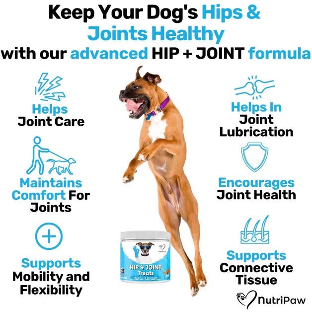 Nutri Paw Hip & Joint Treats for Dogs – 120 Soft Chews - Image 3