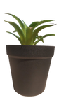 Load image into Gallery viewer, Succulent in pot green - h14,5xd10,5cm
