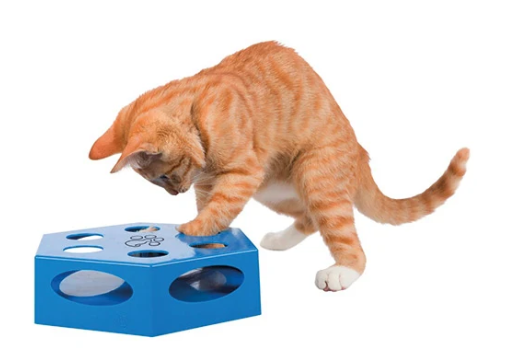 Interactive blue cat toy with feather for pets | Keans Claremorris