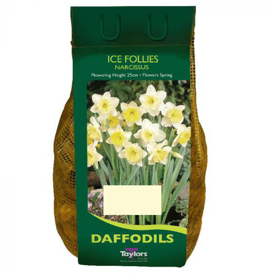 1.5Kg Narcissus Ice Follies 12-14