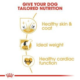 Royal Canin Cocker Spaniel Adult Dog Food 12kg - Premium Nutrition for Adult Cocker Spaniels | Keans Claremorris