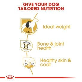 Royal Canin Labrador Retriever Adult Dog Food 12kg - High-Quality Nutrition | Available at Keans Claremorris