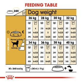 Royal Canin Labrador Retriever Adult Dog Food 12kg bag available at Keans Claremorris