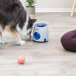 Treat Strategy Dispenser with dog activity ball