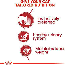 Royal Canin Instinctive Cat Pouch in Gravy 85g – Wet Cat Food, Keans Claremorris