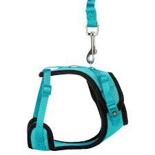 Mesh Y Cat Harness with Lead for Comfortable Secure Walks – Available at Keans Claremorris