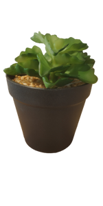 Succulent in pot green - h17,5xd10,5cm