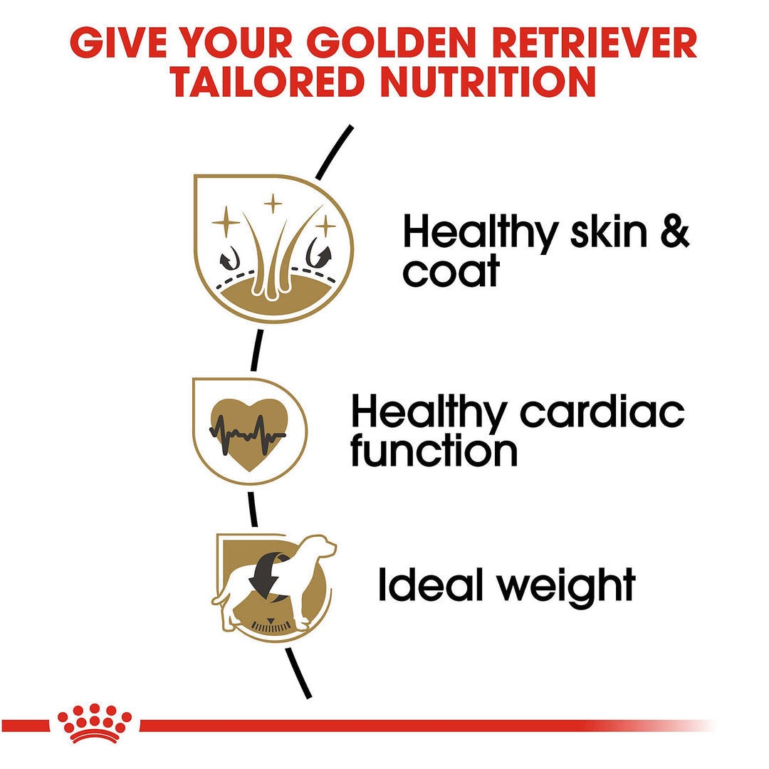 Royal Canin Golden Retriever Adult Dog Food 12kg bag available at Keans Claremorris