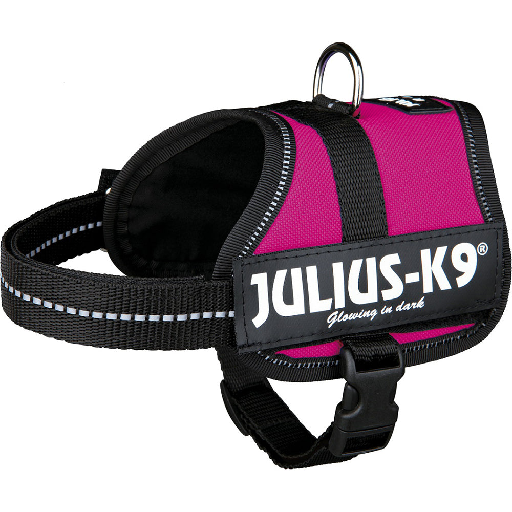 Julius-K9 Size 0 Powerharness Pink with ergonomic, breathable lining, adjustable straps, reflective stripes – Keans