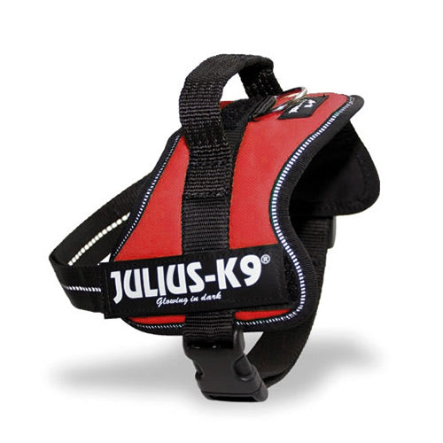 Julius-K9 Baby 1 Powerharness in Red, durable dog harness for puppies, available at Keans Claremorris.