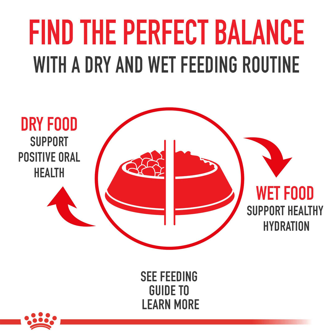 Royal Canin Golden Retriever Adult Dog Food 12kg bag available at Keans Claremorris