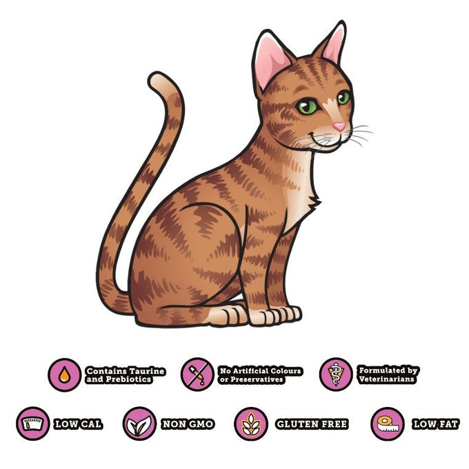 KittyRade Isotonic Drink 250ml bottle, refreshing electrolyte beverage available at Keans Claremorris.