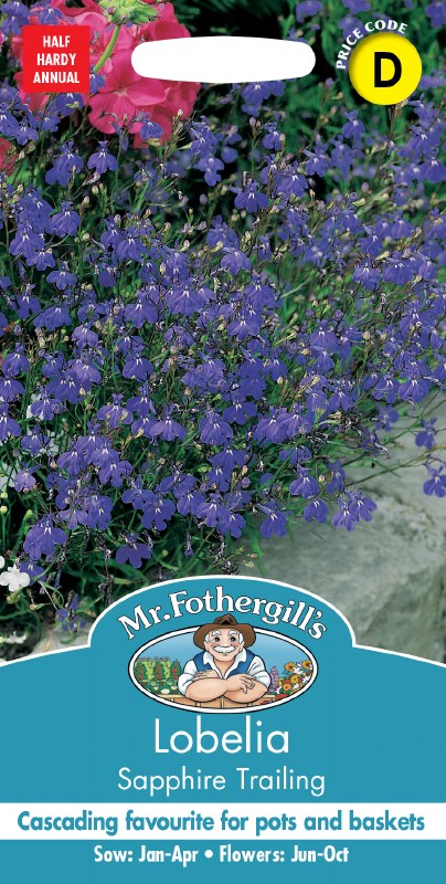 Lobelia (Trailing) Sapphire