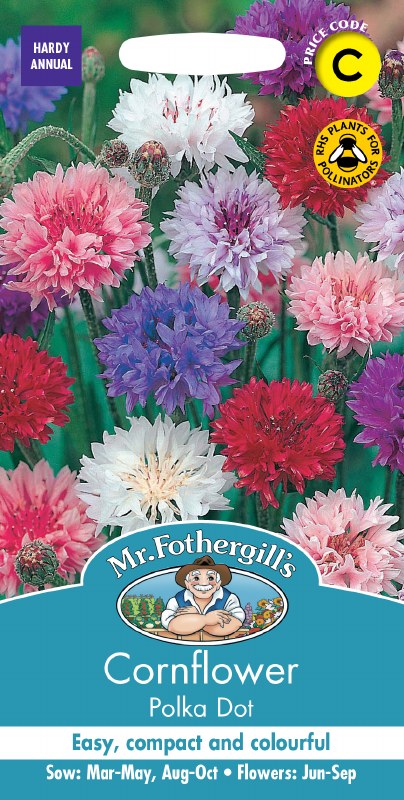 Cornflower Polka Dot