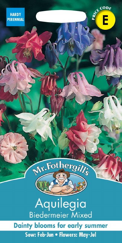 Mixed pastel Aquilegia Biedermeier flowers in pink, purple, blue, and white on tall stems
