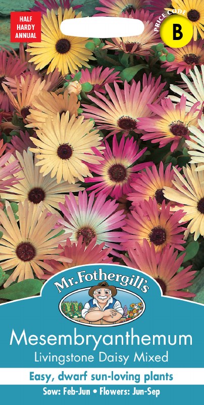 Mesembryanthemum Livingstone Daisy Mix - Image 1
