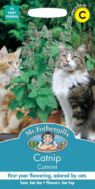 Mr. Fothergill’s Catmint plant with green leaves and lavender-blue flowers, flanked by two cats.