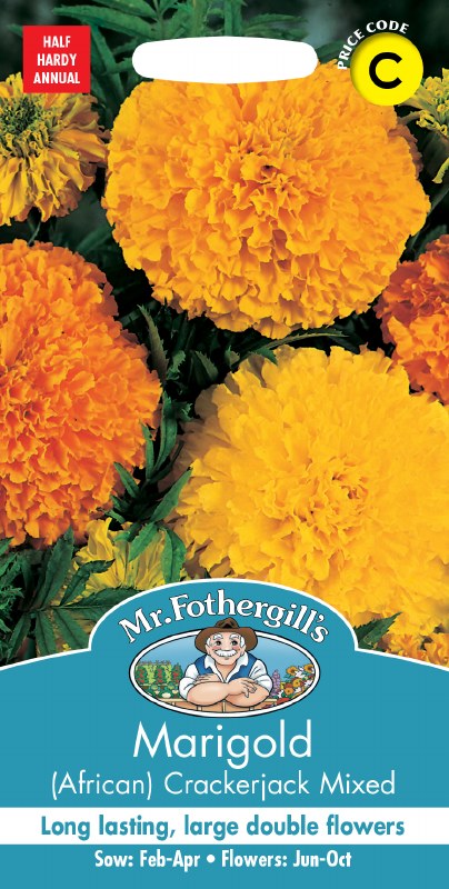 Bright orange and yellow large double African Marigold flowers on seed packet for Crackerjack Mix variety