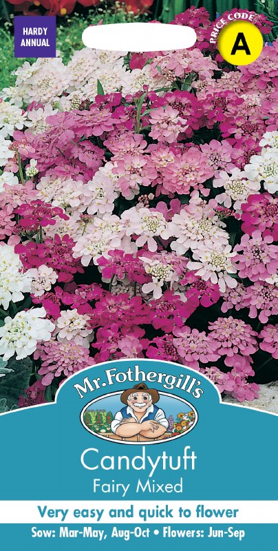 Candytuft Fairy Mix - Image 1