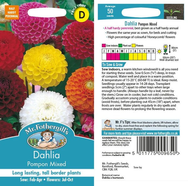 Dahlia Pompon Mix