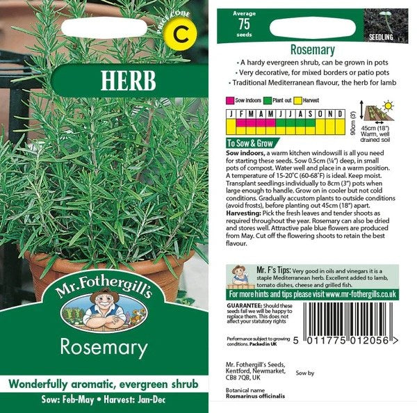 Rosemary - Image 1