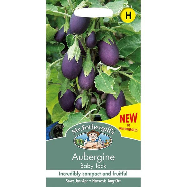 Aubergine Baby Jack