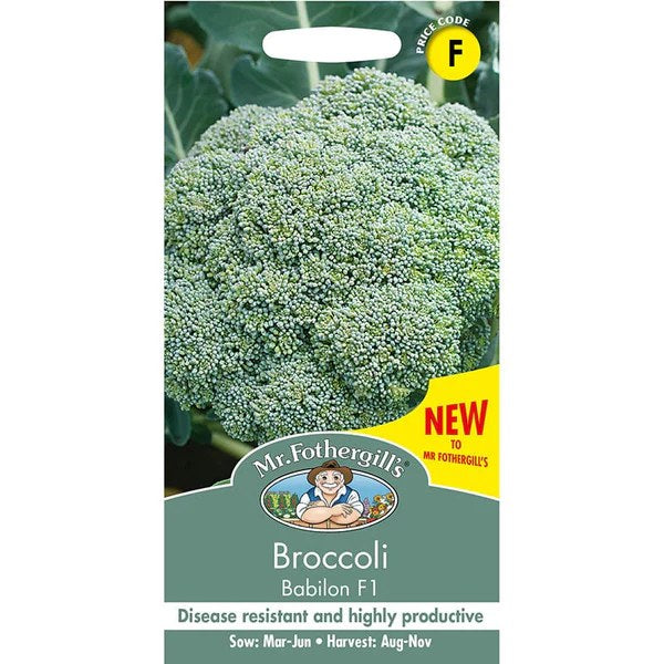 Broccoli (Autumn) Babilon F1
