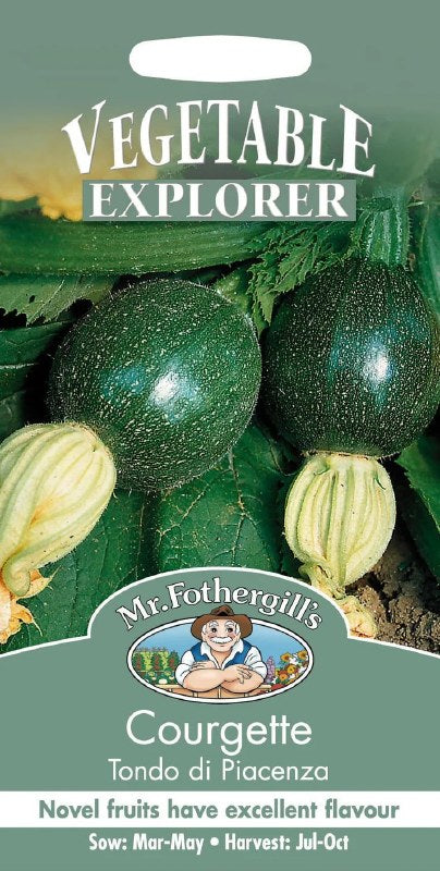 Courgette Tondo Di Piacenza