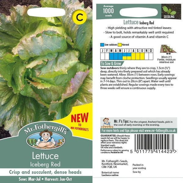 Lettuce Iceberg Red - Image 1
