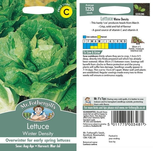 Lettuce Winter Density - Image 1