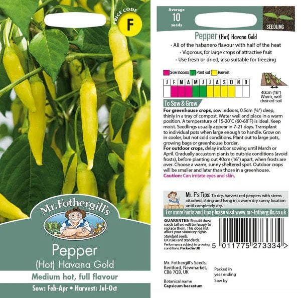 Pepper (Hot) Havana Gold - Image 1