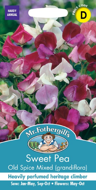 Colorful Sweet Pea Old Spice Mix grandiflora flowers in shades of pink, purple, white, and red on green stems.
