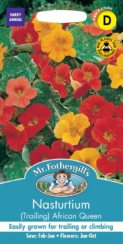 Bright red and yellow Nasturtium African Queen flowers with green and white marbled leaves on seed packet.