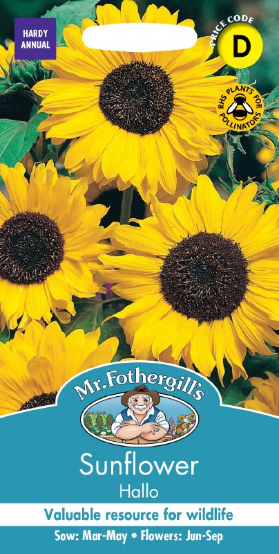 Nh-Sunflower Hallo - Image 1
