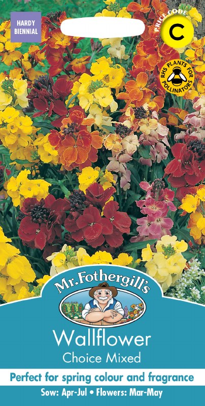 Wallflower Choice Mix