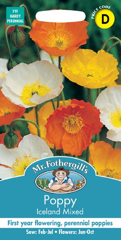Bright orange, yellow, and white Iceland mixed poppy flowers with delicate petals and green buds on stems.