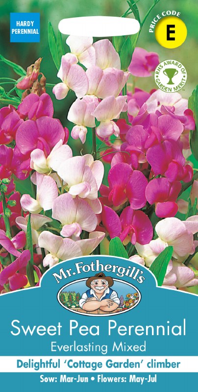 Sweet Pea Perennial Everlasting Mix - Image 1